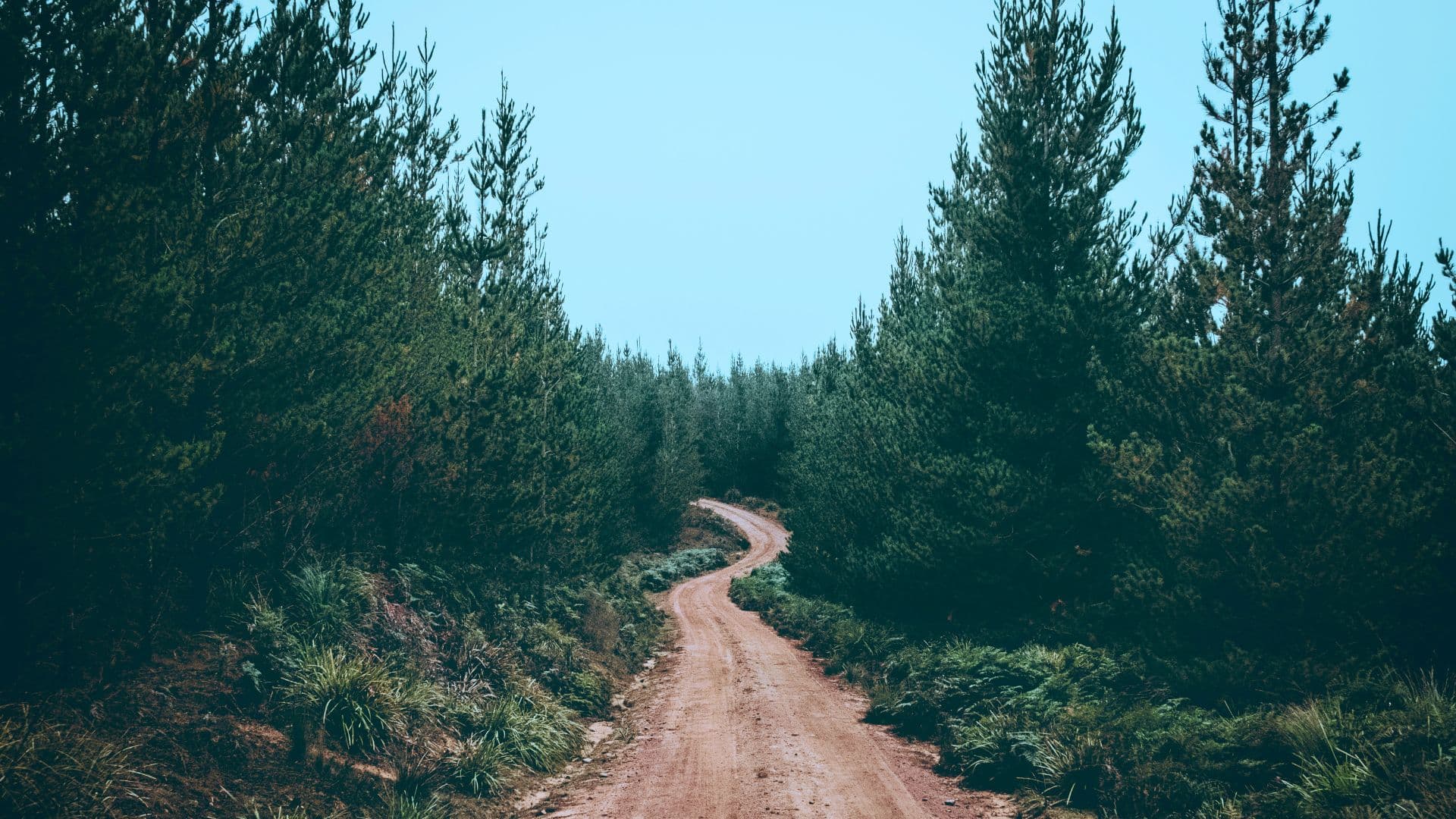 viajando por el mundo en moto